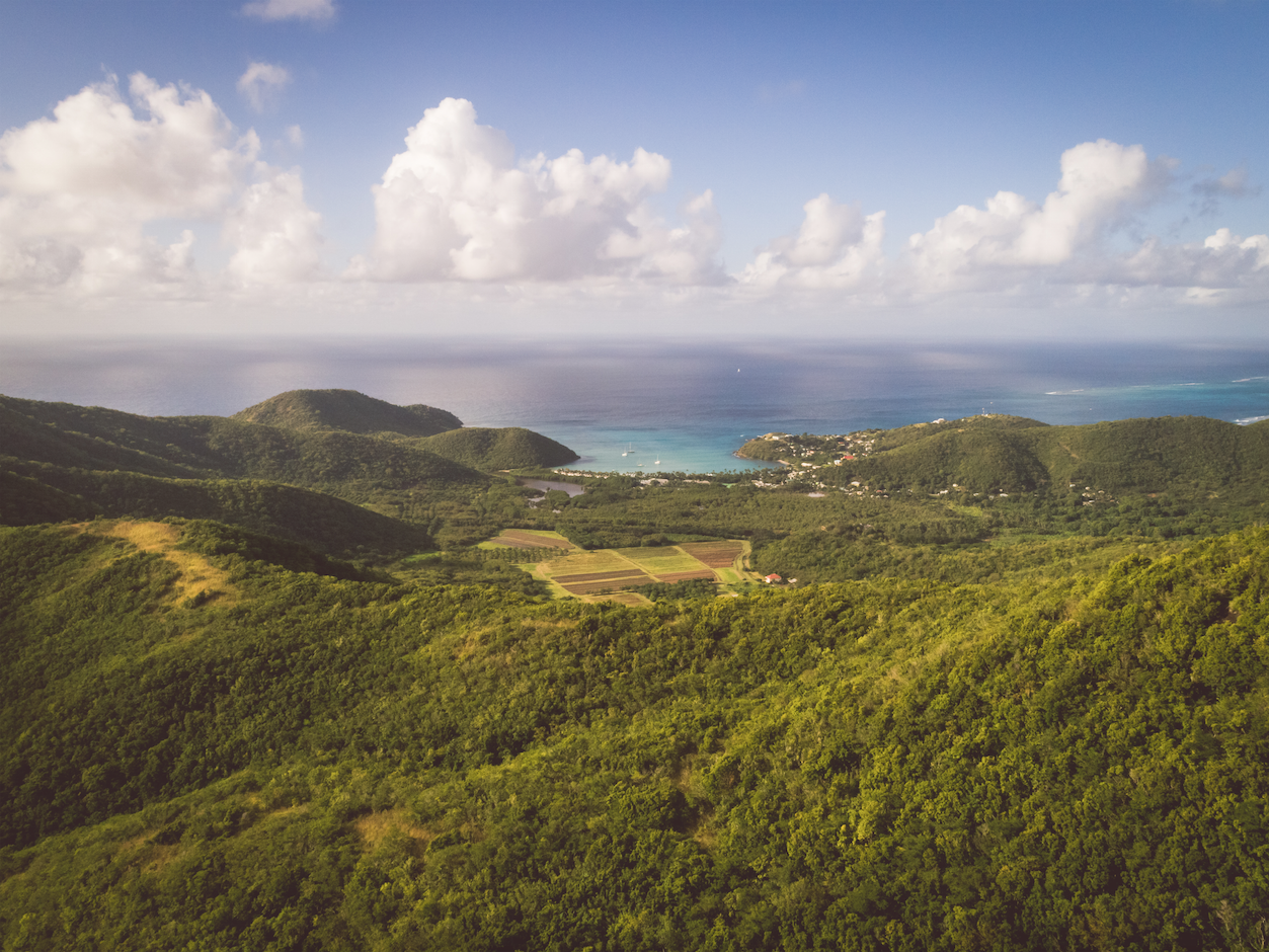 Skyline - Carlisle Bay